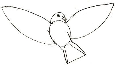 jak nakreslit papoušek