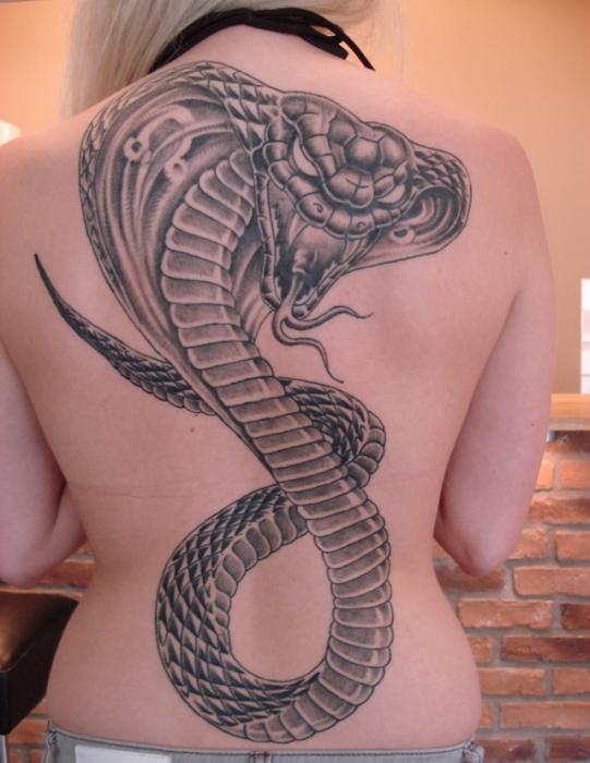 hodnoty hadího tetování