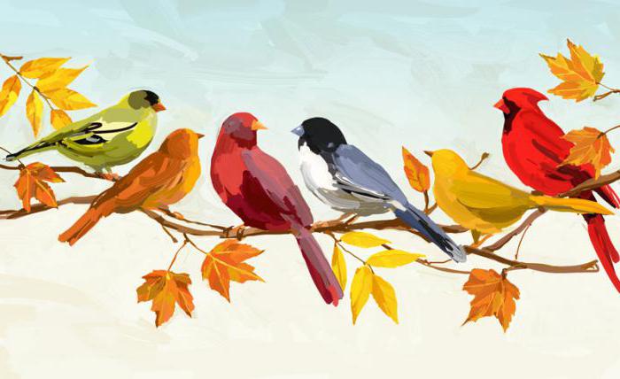 Asociace s podzimem: pád listů, houby, dešťový hluk, ptáci létající na jih