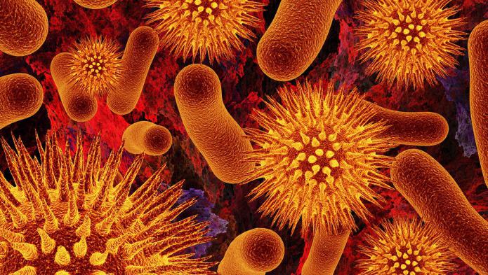 Negativní a pozitivní role bakterií