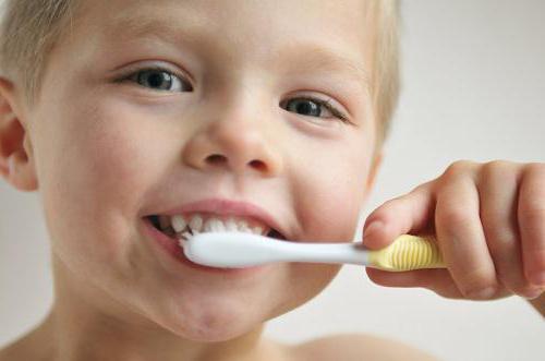 Biorepair (zubní pasta): popis a složení